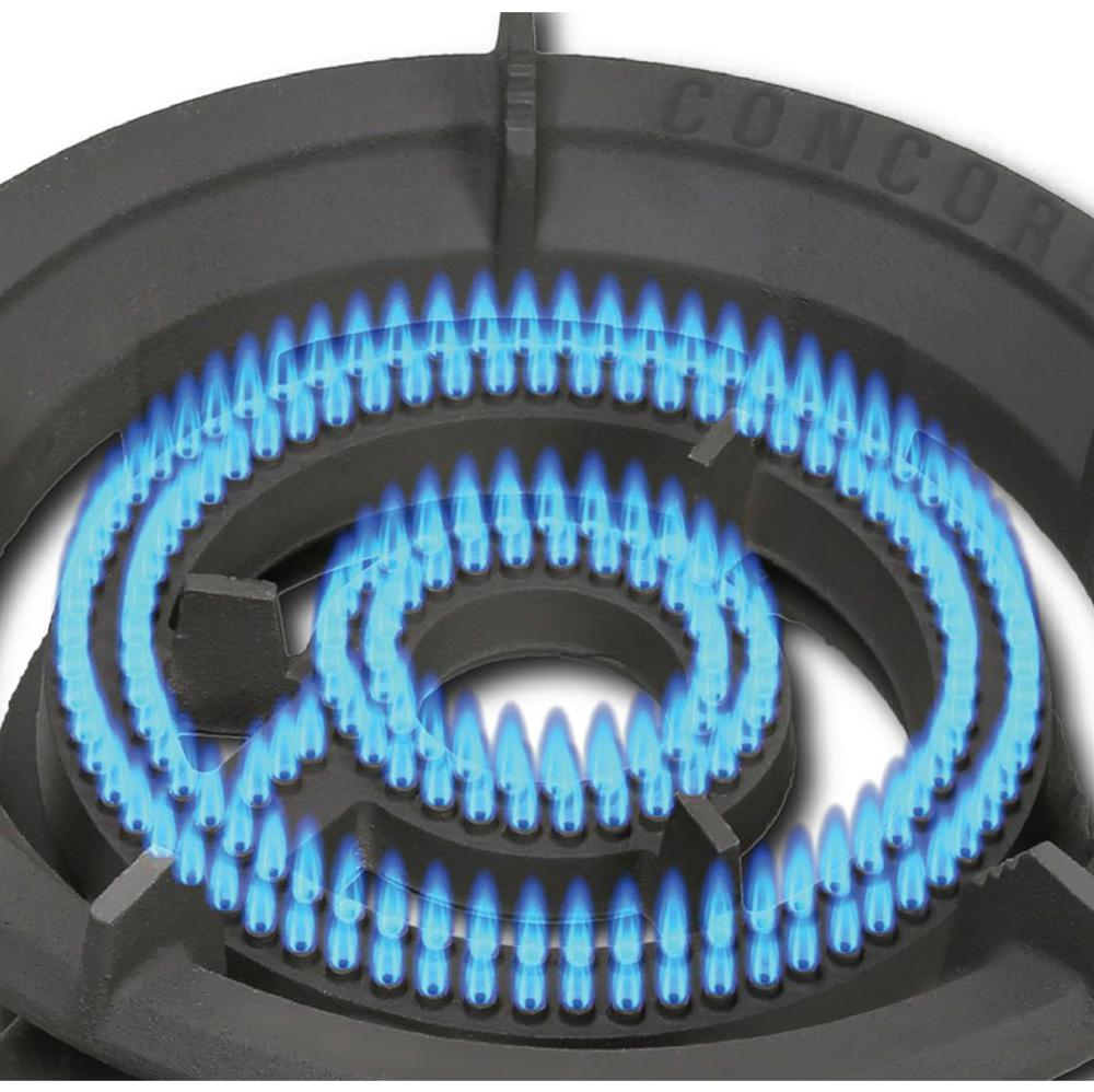 Amazon.com: CONCORD Roadster Burner. 13